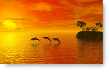 Jumping Dolphins - background