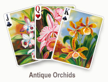 Antique Orchids - card set