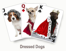 Dressed Dogs - card set